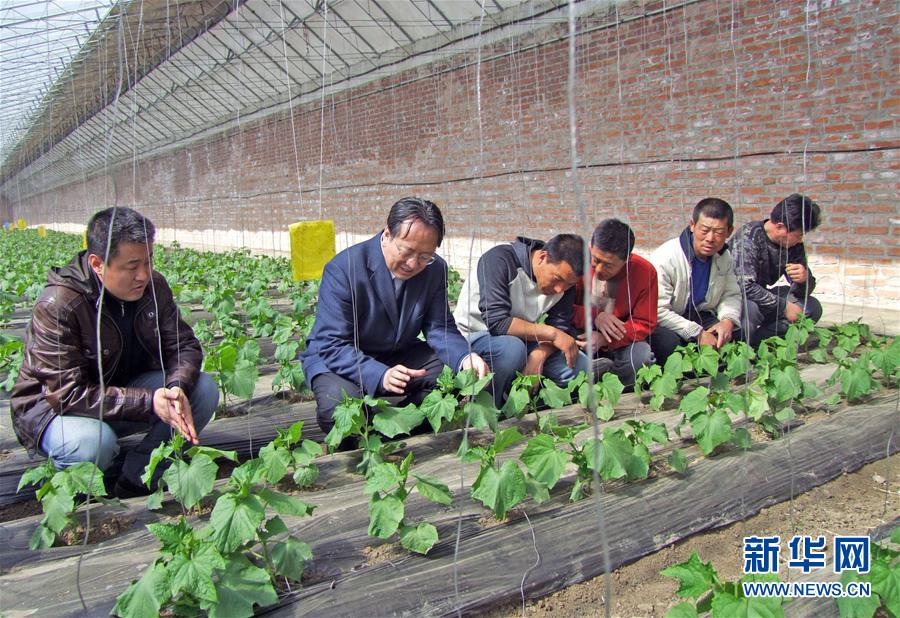 （新华全媒头条·图文互动）（6）和蔬菜“说话”的人——谈球吧入口院士李天来的“棚菜人生”