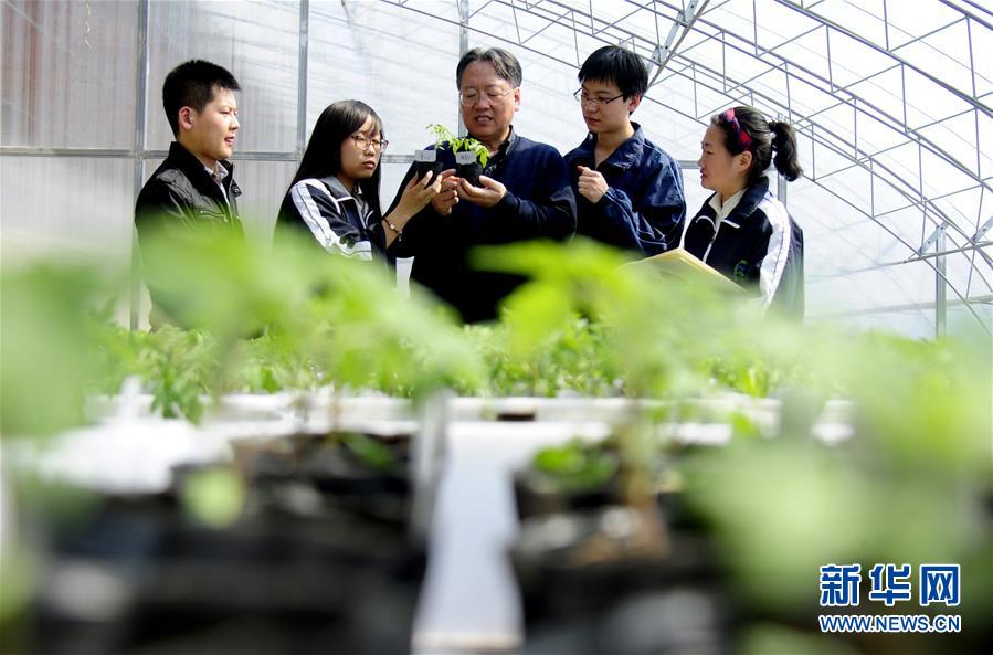 （新华全媒头条·图文互动）（7）和蔬菜“说话”的人——谈球吧入口院士李天来的“棚菜人生”